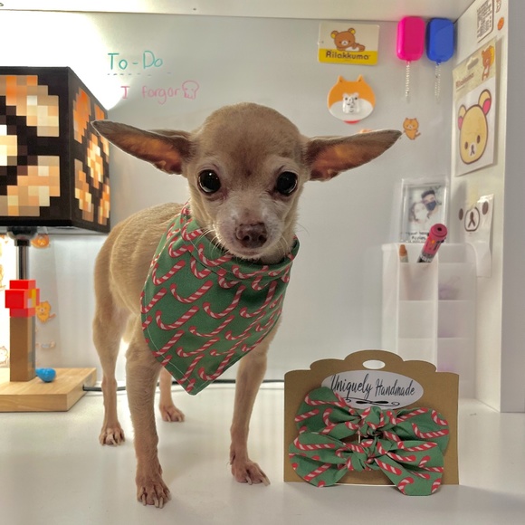 Dog Bandana, Bow ,Christmas Picture ,Matching Set, Photoshoot, Picture Perfect , - Picture 1 of 3